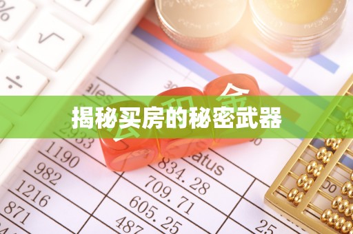 江东揭秘买房的秘密武器
