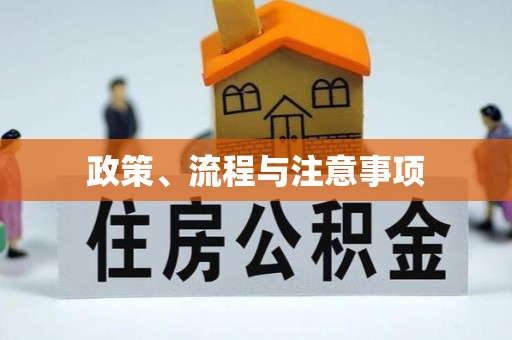 江东政策、流程与注意事项