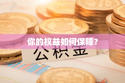江东你的权益如何保障？