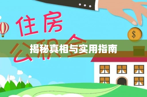 江东揭秘真相与实用指南