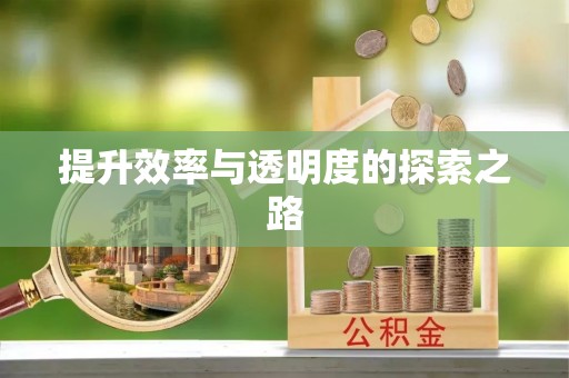 江东提升效率与透明度的探索之路