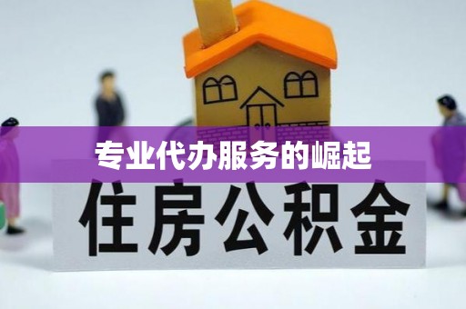 江东专业代办服务的崛起