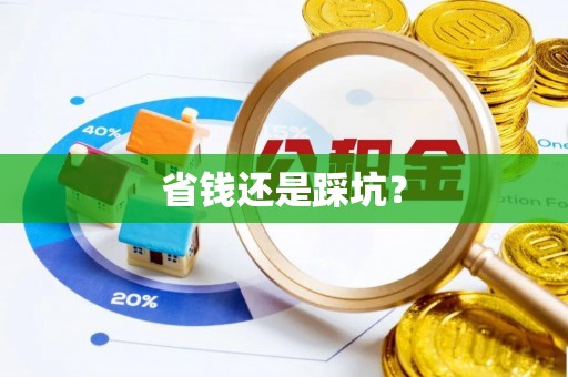 江东省钱还是踩坑？