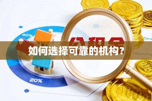江东如何选择可靠的机构？