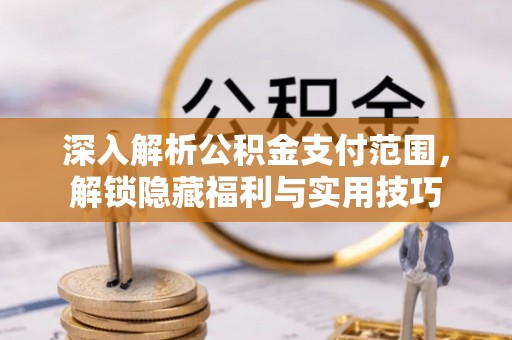 江东深入解析公积金支付范围，解锁隐藏福利与实用技巧