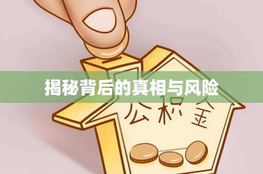 江东揭秘背后的真相与风险