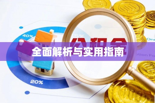 江东全面解析与实用指南