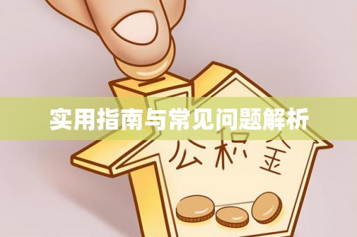 江东实用指南与常见问题解析