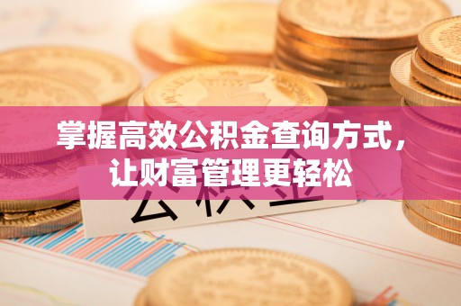 江东掌握高效公积金查询方式，让财富管理更轻松