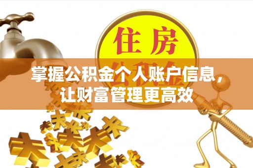 江东掌握公积金个人账户信息，让财富管理更高效