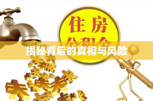 江东揭秘背后的真相与风险
