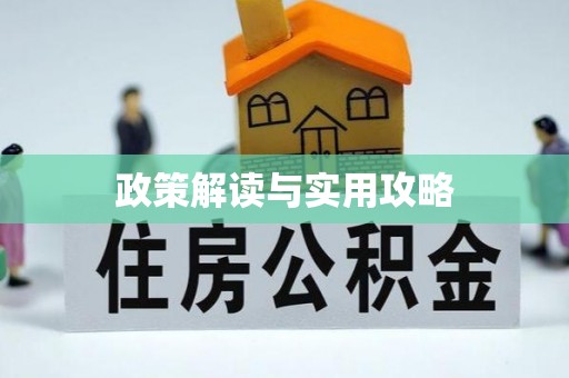 江东政策解读与实用攻略