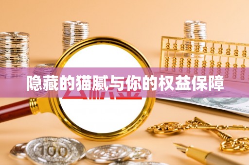 江东隐藏的猫腻与你的权益保障