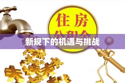 江东新规下的机遇与挑战