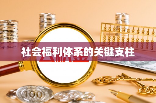 江东社会福利体系的关键支柱