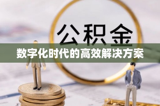 江东数字化时代的高效解决方案