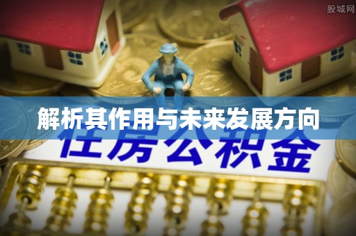 江东解析其作用与未来发展方向
